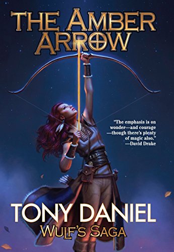Beispielbild fr The Amber Arrow zum Verkauf von Better World Books