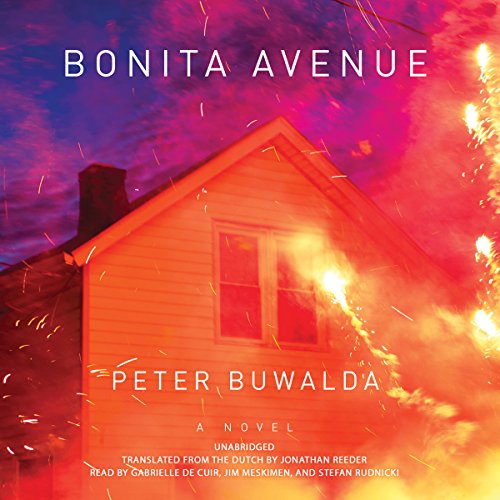 Stock image for Bonita Avenue: A Novel for sale by HPB-Diamond