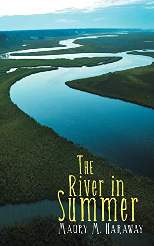 9781481704953: The River in Summer