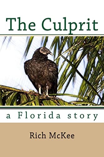 Stock image for The Culprit : A Florida Story for sale by Better World Books