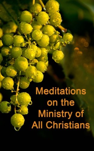 Imagen de archivo de Meditations on the Ministry of All Christians a la venta por Revaluation Books