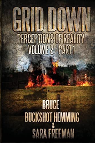 Stock image for Grid Down Perceptions Of Reality Vol 2 Book 1: Vol 2 Book 1 for sale by Gulf Coast Books