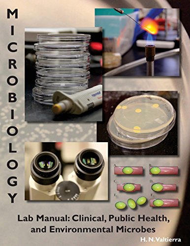 Stock image for Microbiology Lab Manual: Lab Manual: Clinical, Public Health, and Environmental Microbes for sale by ThriftBooks-Dallas
