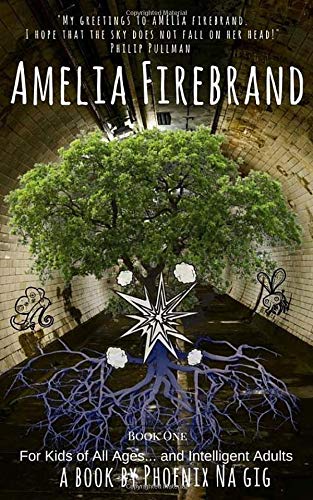 9781481895460: Amelia Firebrand and the Uglies