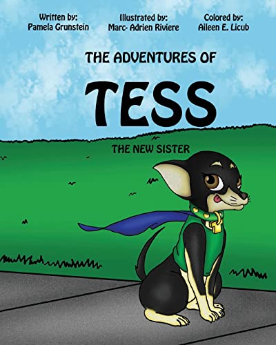 9781481899529: The Adventures of Tess: The New Sister: Volume 1
