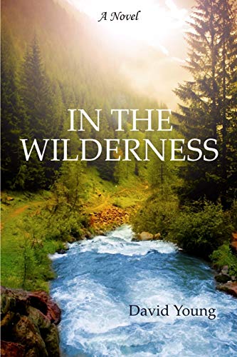 In the Wilderness (The Wilderness Series) (9781481942881) by Young, David
