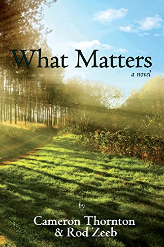 Stock image for What Matters : A Novel for sale by Better World Books