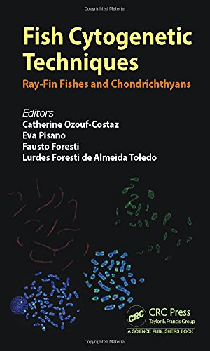 Stock image for Fish Cytogenetic Techniques: Ray-Fin Fishes and Chondrichthyans for sale by Buchpark