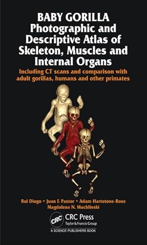 Imagen de archivo de Photographic and Descriptive Atlas of the Skeleton, Muscles and Internal Organs of a Baby Gorilla a la venta por Books Puddle