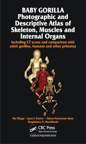 Stock image for Baby Gorilla: Photographic and Descriptive Atlas of Skeleton, Muscles and Internal Organs for sale by SMASS Sellers