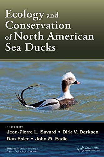 Imagen de archivo de Ecology and Conservation of North American Sea Ducks a la venta por Revaluation Books