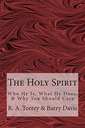 Imagen de archivo de The Holy Spirit: Who He Is, What He Does, & Why You Should Care a la venta por SecondSale
