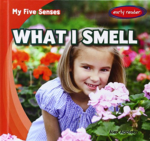 9781482408133: What I Smell (My Five Senses, 3)