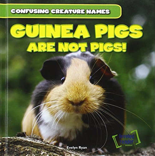 Guinea Pigs Are Not Pigs! - Ryan, Evelyn