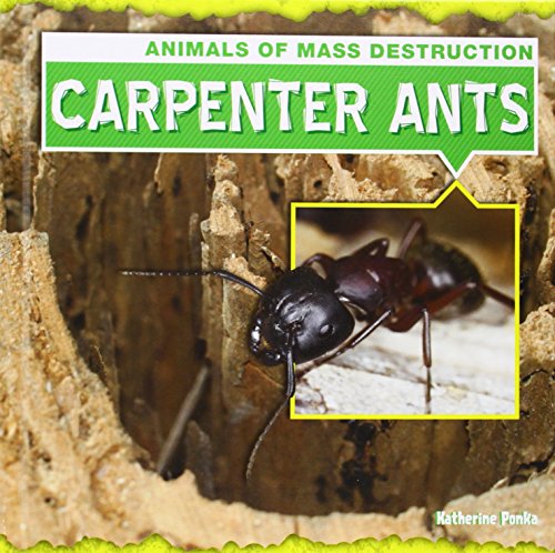 Beispielbild fr Carpenter Ants zum Verkauf von Better World Books