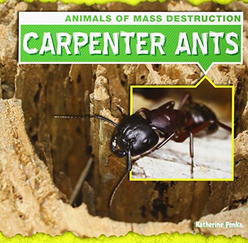 9781482410259: Carpenter Ants (Animals of Mass Destruction, 2)