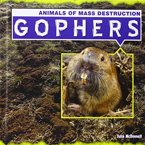 9781482410464: Gophers (Animals of Mass Destruction)