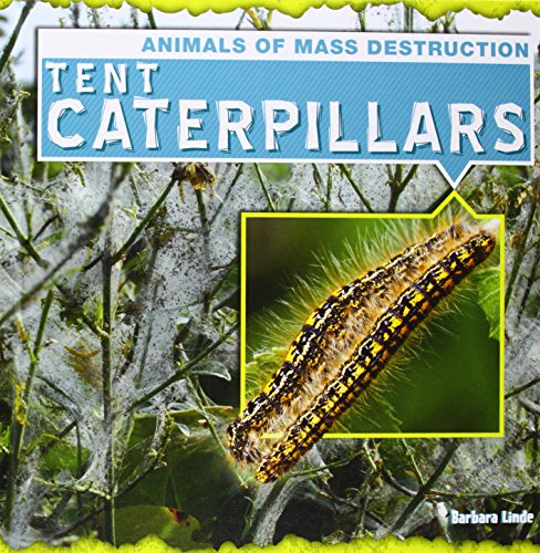 Beispielbild fr Tent Caterpillars zum Verkauf von Better World Books