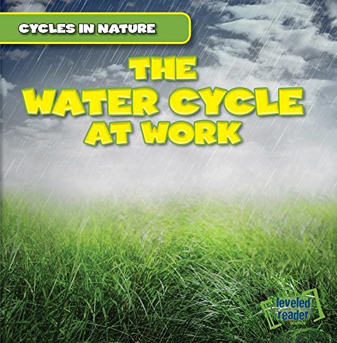 Beispielbild fr The Water Cycle at Work zum Verkauf von Blackwell's