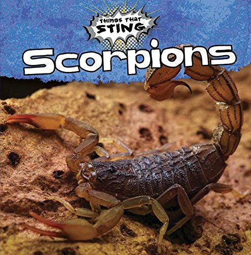 Beispielbild fr Scorpions zum Verkauf von Better World Books