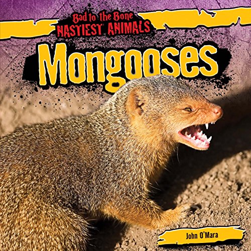 Beispielbild fr Mongooses zum Verkauf von ThriftBooks-Dallas