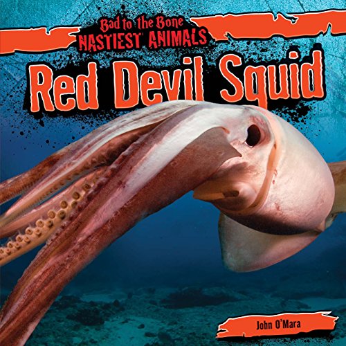 9781482419672: Red Devil Squid (Bad to the Bone: Nastiest Animals)