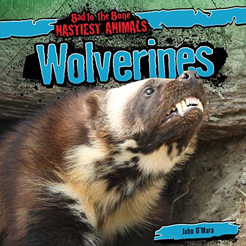 Beispielbild fr Wolverines zum Verkauf von Better World Books