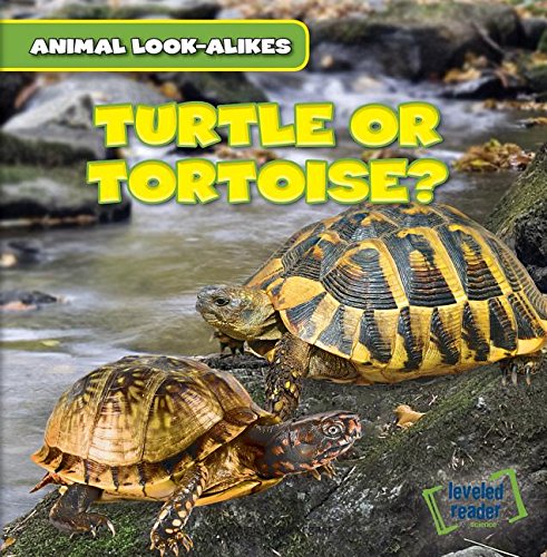 Stock image for Turtle or Tortoise? (Animal Look-alikes) for sale by Irish Booksellers