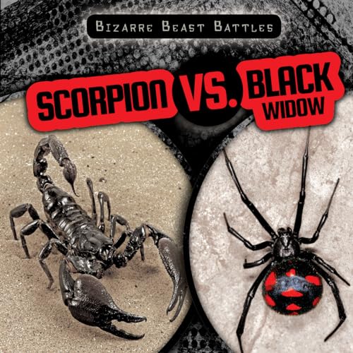 Stock image for Scorpion vs. Black Widow (Bizarre Beast Battles) for sale by GF Books, Inc.