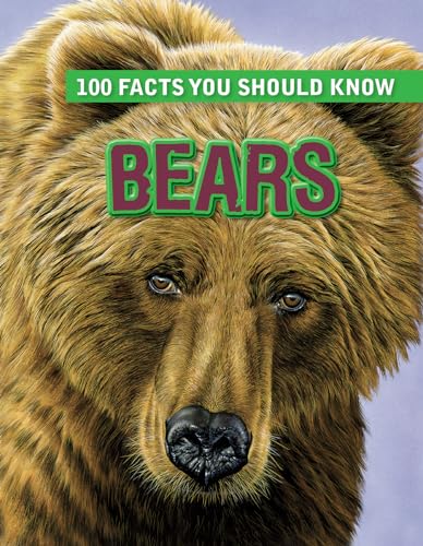 9781482431919: Bears (100 Facts You Should Know)