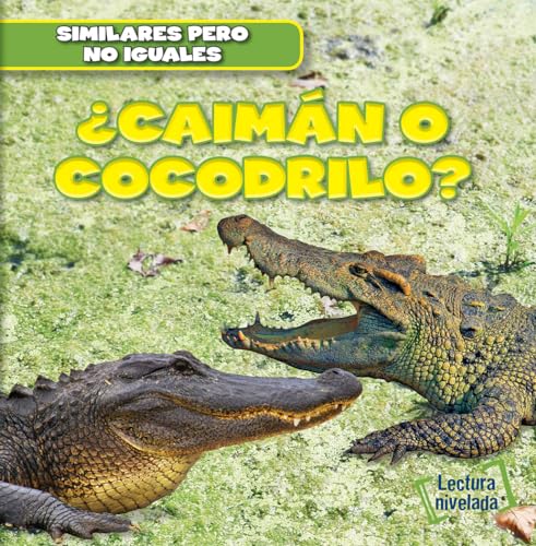 Beispielbild fr Caimn o cocodrilo?/ Alligator or Crocodile? zum Verkauf von Revaluation Books