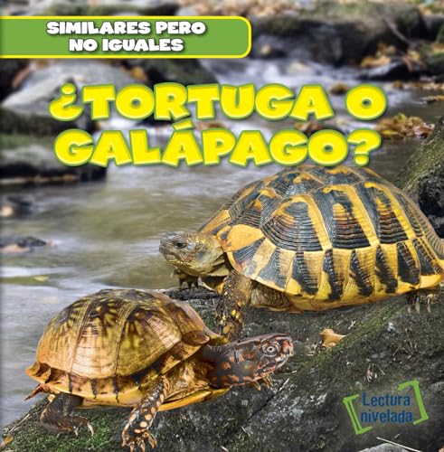 Stock image for Tortuga o galpago?/ Turtle or Tortoise? for sale by Revaluation Books
