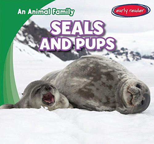 Stock image for Seals and Pups for sale by ThriftBooks-Dallas