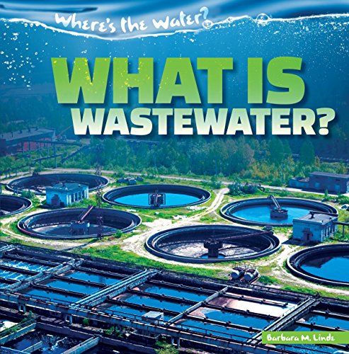 Imagen de archivo de What Is Wastewater? (Where's the Water?, 6) a la venta por HPB Inc.