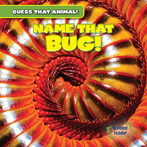 Stock image for Name That Bug! for sale by ThriftBooks-Dallas