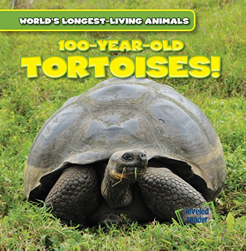 Stock image for 100-Year-Old Tortoises (World's Longest-Living Animals) for sale by Your Online Bookstore