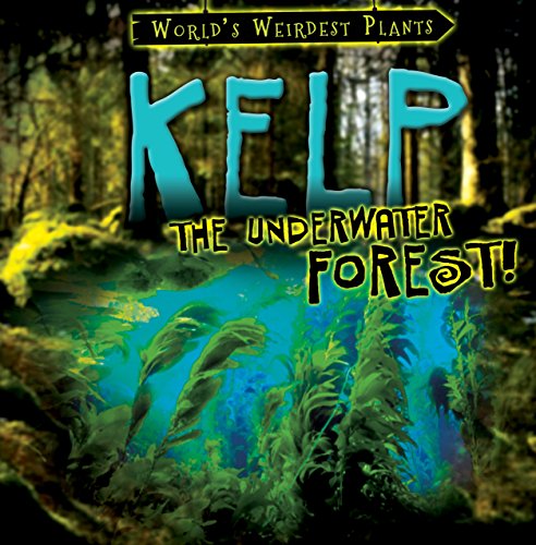 Stock image for Kelp: the Underwater Forest! for sale by Better World Books: West