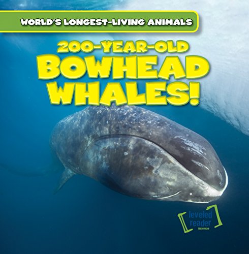 Stock image for 200-Year-Old Bowhead Whales! (World's Longest-Living Animals) for sale by SecondSale