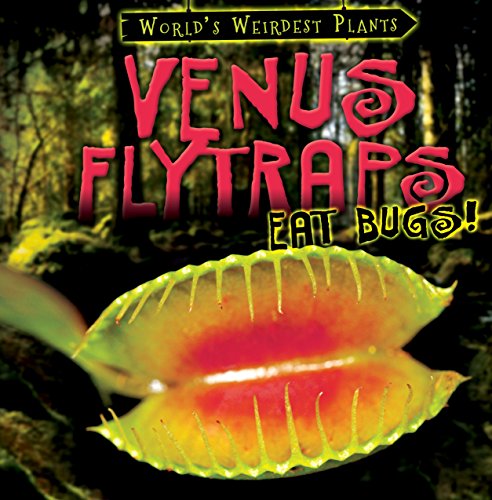 9781482456400: Venus Flytraps Eat Bugs! (World's Weirdest Plants)