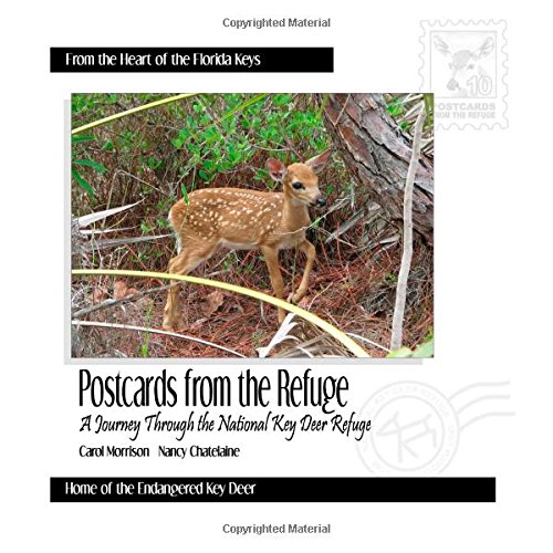9781482625622: Postcards From the Refuge: A Journey Through the National Key Deer Refuge