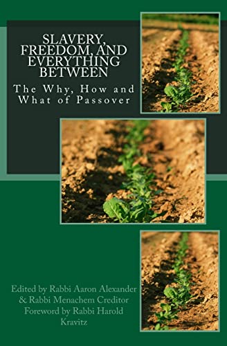 Beispielbild fr Slavery, Freedom, and Everything Between: The Why, How and What of Passover zum Verkauf von Books From California