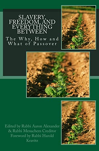 Stock image for Slavery, Freedom, and Everything Between: The Why, How and What of Passover for sale by Books From California