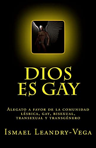 Stock image for Dios es gay: Alegato a favor de la comunidad l©sbica, gay, bisexual, transexual y transg©nero (Spanish Edition) [Soft Cover ] for sale by booksXpress