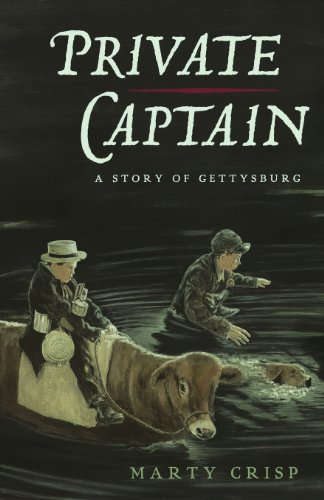 9781482670233: Private Captain: A Story Of Gettysburg