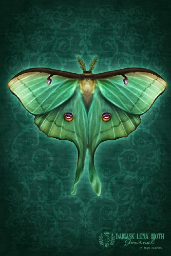 Beispielbild fr Damask Luna Moth Journal zum Verkauf von Revaluation Books