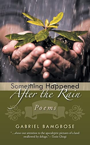 Stock image for Something Happened After the Rain: Poems for sale by GF Books, Inc.