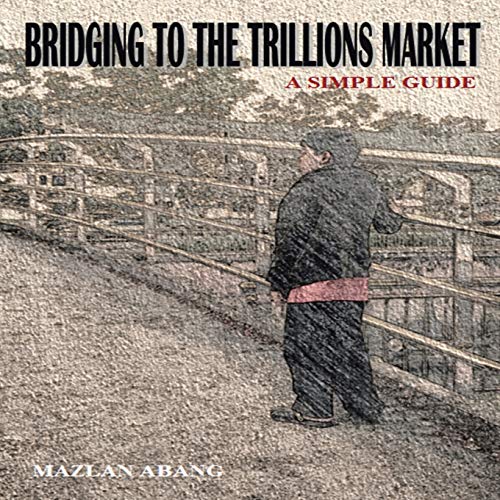 Stock image for Bridging to the Trillions Market A Simple Guide for sale by PBShop.store US