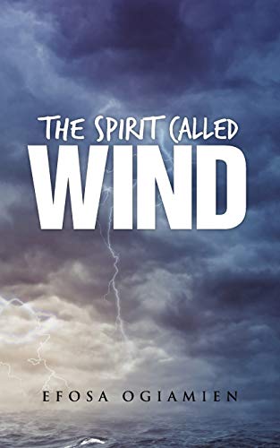 Stock image for The Spirit Called Wind for sale by PBShop.store US