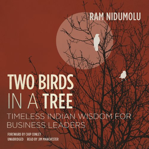 Stock image for Two Birds in a Tree: Timeless Indian Wisdom for Business Leaders for sale by Buchpark