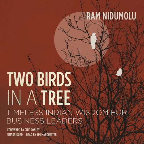 9781482942279: Two Birds in a Tree: Timeless Indian Wisdom for Business Leaders